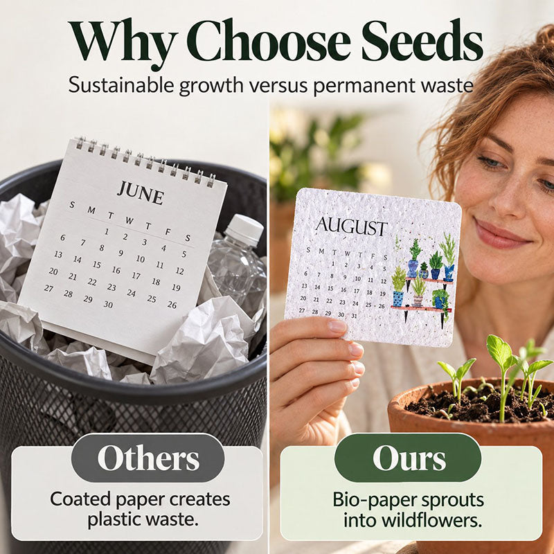 🇨🇦 🌱 2027 Plantable Desk Calendar — A Little Art. A New Beginning. 📅
