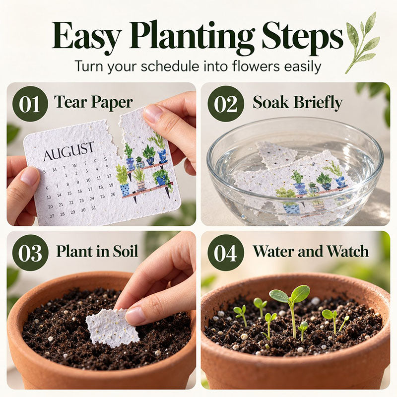 🇦🇺 🌱 2027 Plantable Desk Calendar — A Little Art. A New Beginning. 📅