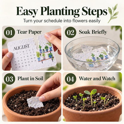 🇦🇺 🌱 2027 Plantable Desk Calendar — A Little Art. A New Beginning. 📅