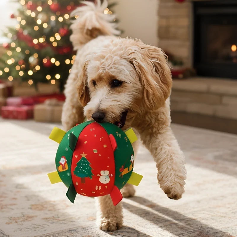 Lorqesia™ Christmas Rattle Ball — Shake, Chase & Cuddle