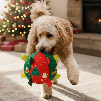 Lorqesia™ Christmas Rattle Ball — Shake, Chase & Cuddle (Offer)