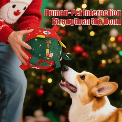 Lorqesia™ Christmas Rattle Ball — Shake, Chase & Cuddle