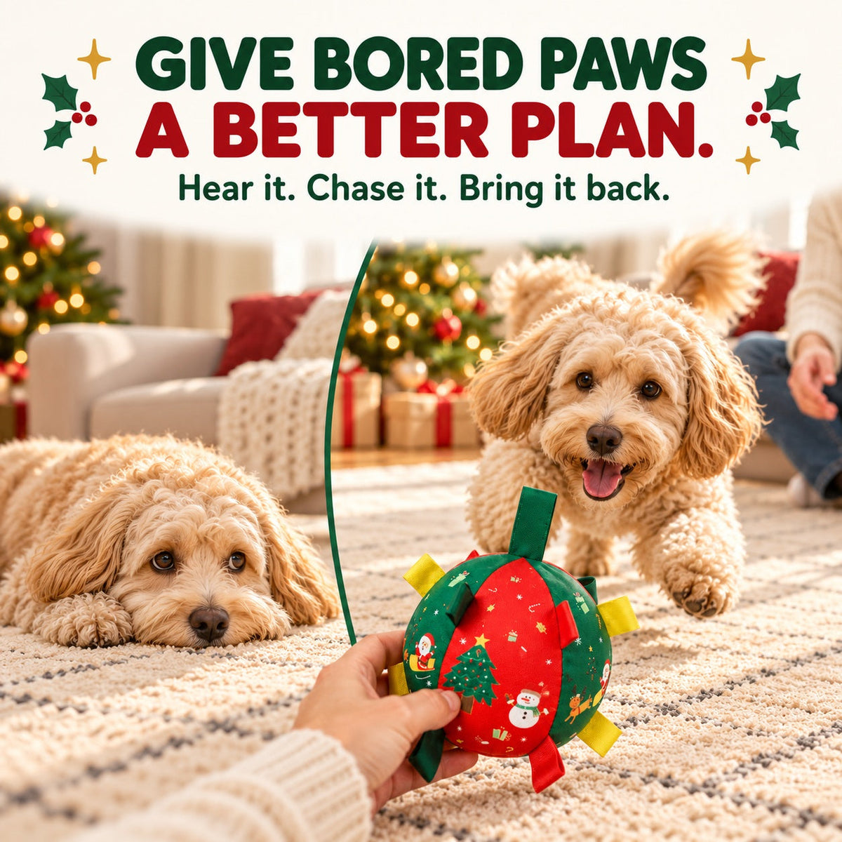 Lorqesia™ Christmas Rattle Ball — Shake, Chase & Cuddle (Offer)