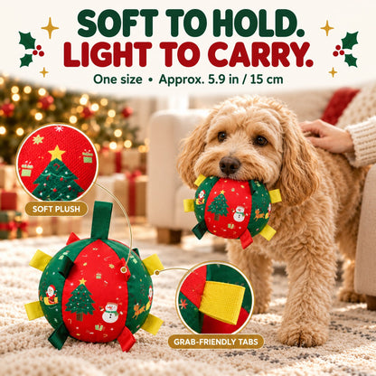 Lorqesia™ Christmas Rattle Ball — Shake, Chase & Cuddle