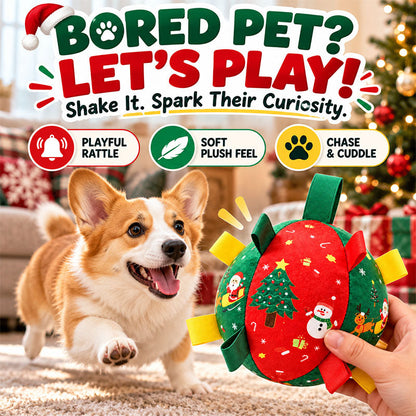 Lorqesia™ Christmas Rattle Ball — Shake, Chase & Cuddle (Offer)